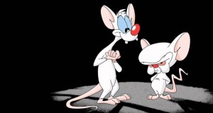 Create meme: cartoon pinky and brain, pinky and the brain animated series, pinky and brain