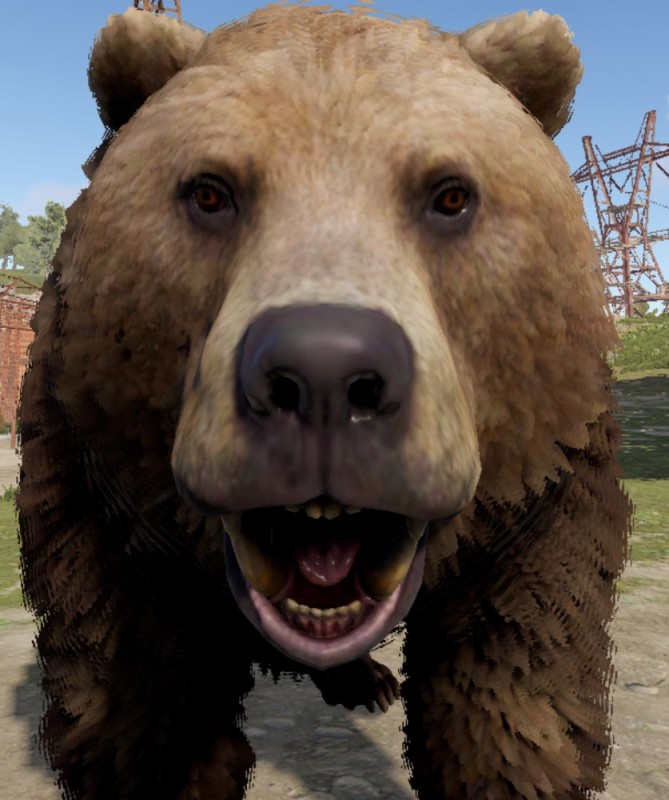 Создать мем: медведь сибирский, ревущий медведь, медведь бурый