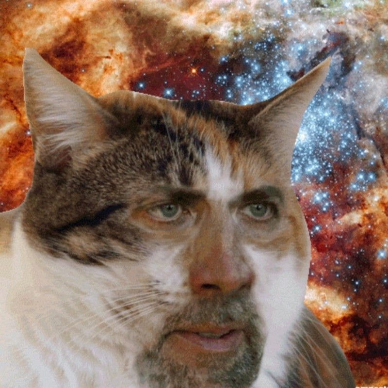 Создать мем: кошка с лицом человека, кот космос, nicolas cat