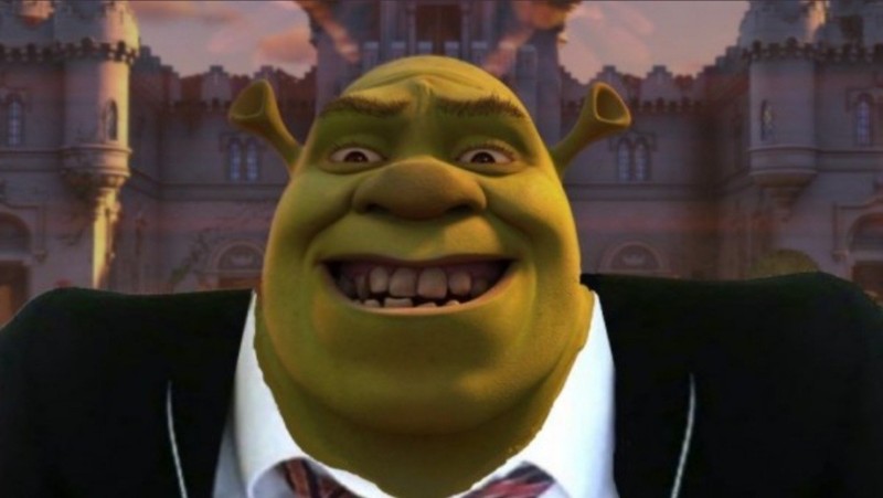 Create meme: cartoon Shrek , shrek sts, Shrek Shrek