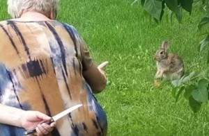 Create meme: grandmother with a knife and a rabbit