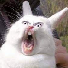 Create meme: evil rabbit, meme rabbit , screaming rabbit 
