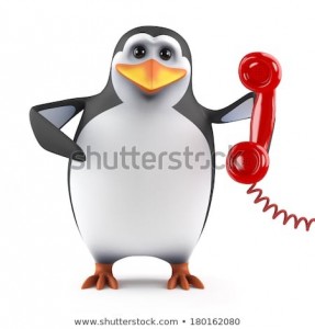 Создать мем: пингвин с телефоном шаблон, shutterstock пингвин, penguin bomb u