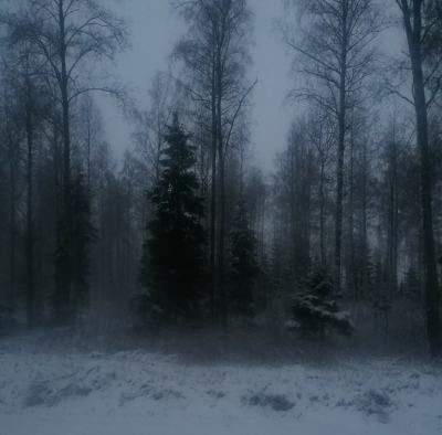 Create meme: the forest dark, dark forest, winter fog