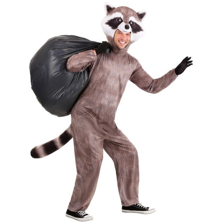 Create meme: raccoon costume, panda costume, rocky raccoon