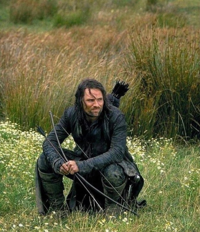 Create meme: Aragorn Lord of the rings, Aragorn II Elessar, Aragorn 