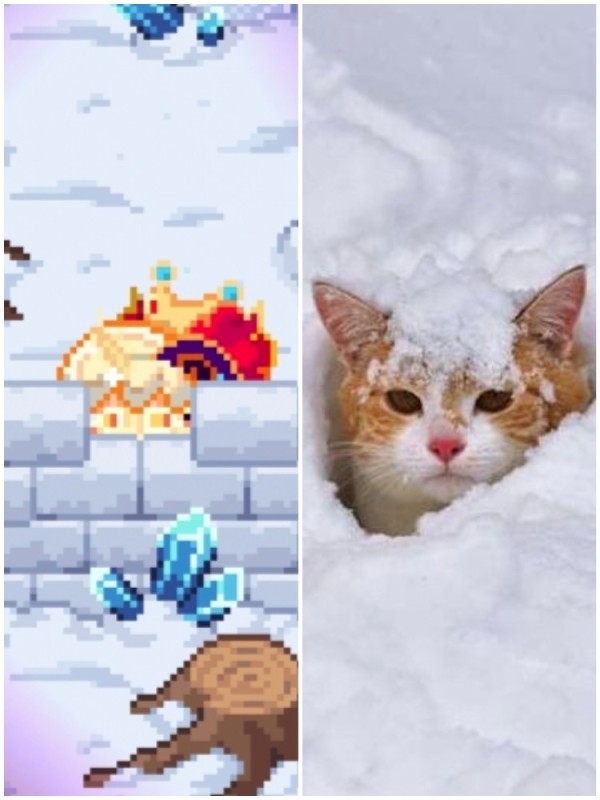 Create meme: cat snow, a cat in the snow, ginger cat in snow