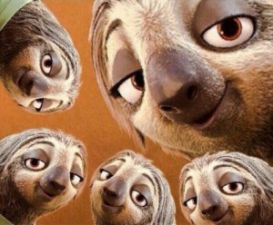 Create meme: Sloth