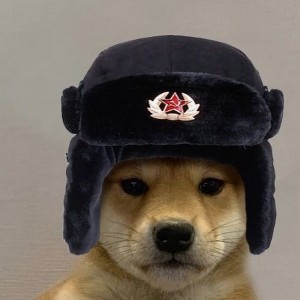 Create meme: doge, dog in hat meme