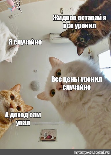 Сынок просыпайся леша. Мемы про кошек и Наташу. Вставай вставай вставай вставай вставай Донбасс Мем тик ток. Прикол цветок сам упал котик.