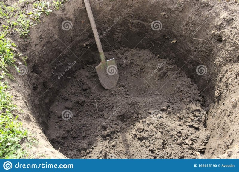 Создать мем: глубокая яма, яма с лопатой, растение