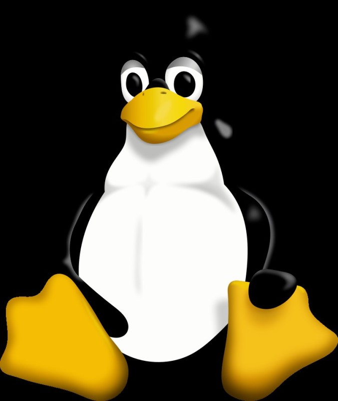 Create meme: gnu linux, linux logo, linux kernel