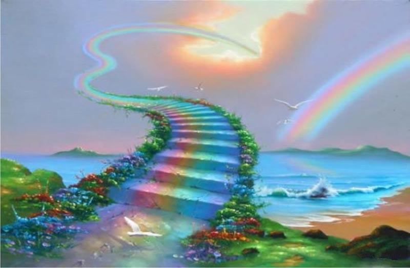 Create meme: run on the rainbow, rainbow in paradise, rainbow dreams