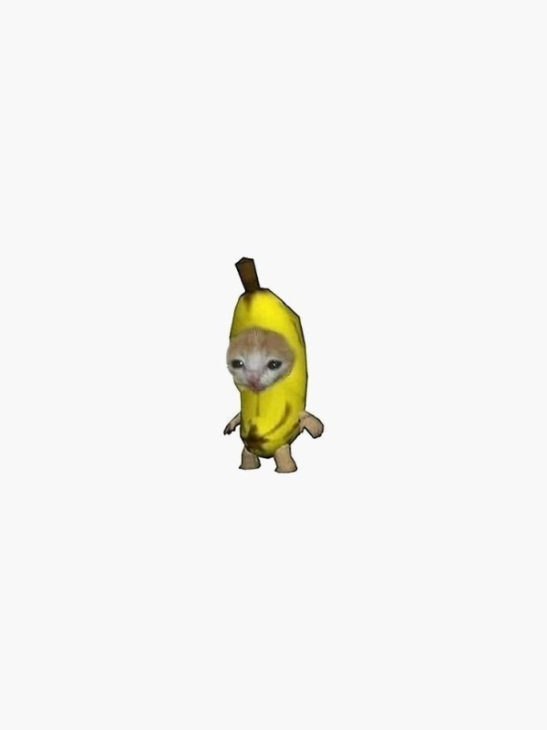 Create meme: a cat in a banana costume, animals funny , banana 