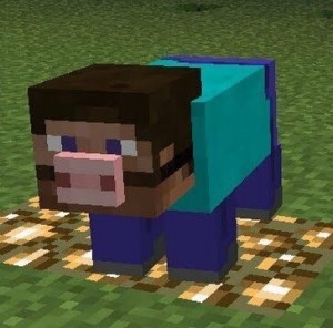 Create meme: discotrash minecraft, herobrine, minecraft pig meme