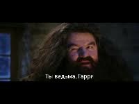 Create meme: hagrid and Harry, Hagrid meme, Hagrid you're a wizard Harry