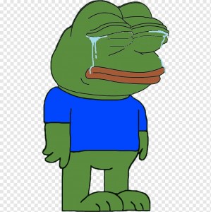 Create meme: crying Pepe, Pepe the frog