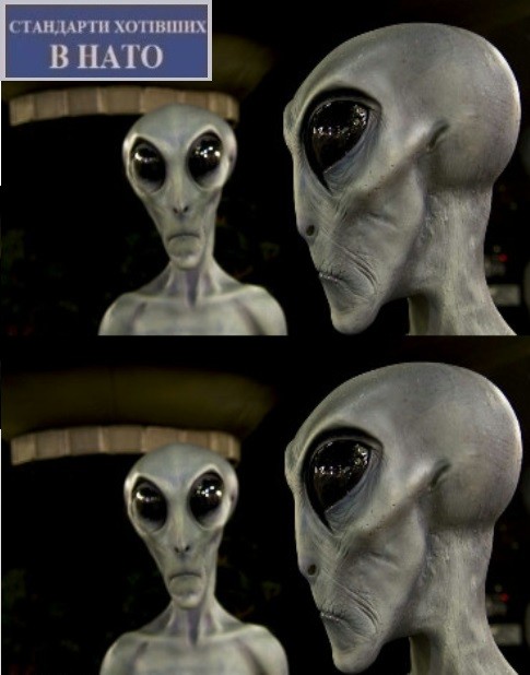 Create meme: aliens , real aliens , The Russian alien