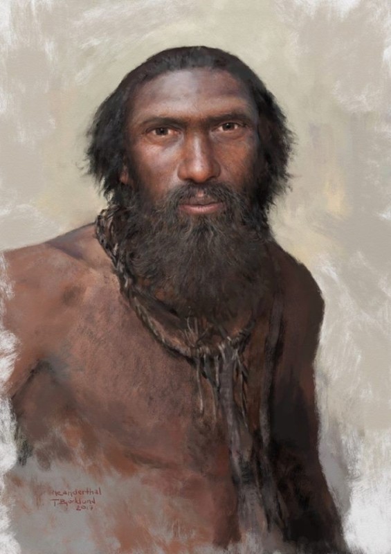Create meme: Neanderthal , Tom Bjorklund is an artist, Cro-Magnons and Neanderthals and Denisovans