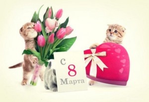 Create meme: greetings with 8th of March, postcards since March 8 with kittens, 8 March postcards