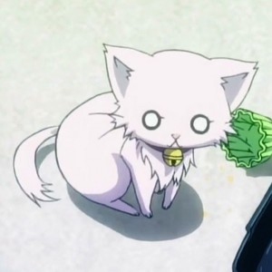 Create meme: anime cats, anime cats