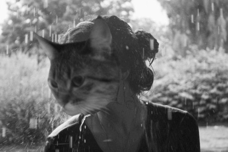 Create meme: cat in the rain, in the rain, girl crying in the rain