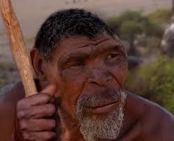 Создать мем: доктор хаус, homo erectus, эректус