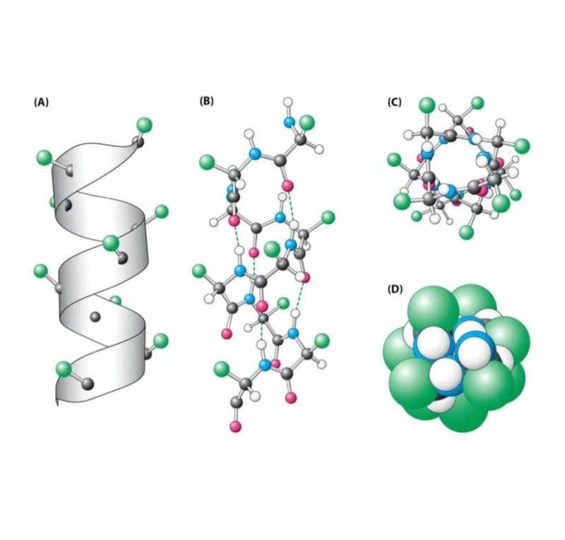 Create meme: alpha helix protein structure, structure of the molecule, molecule 