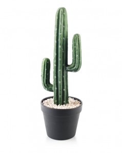 Create meme: cactus in a pot, cactus 60 cm, saguaro cactus Mexican