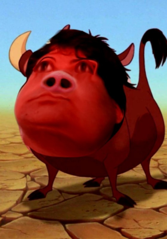 Create meme: pumbaa the lion king warthog, pumbaa hakuna matata, FUIB 