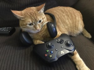 Create meme: the cat gamer