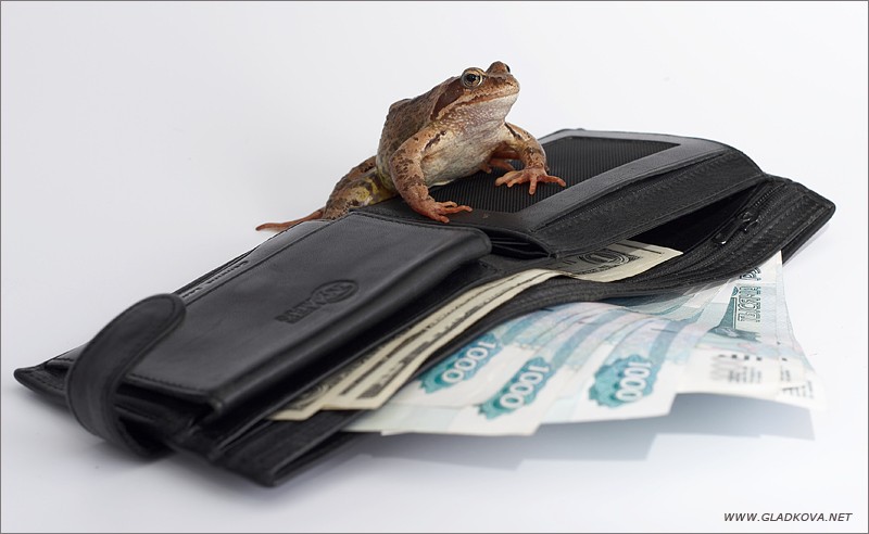 Создать мем: жаба с деньгами, душит жаба, деньги