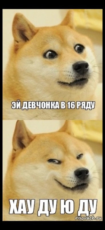 Создать мем: сбк мем с собакой, meme doge, привет собака мем