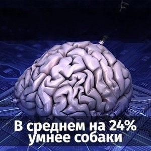 Создать мем: работа мозга, мозг человека, искусственный мозг