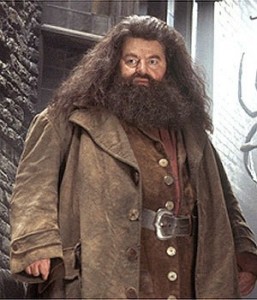 Create meme: a character from Harry Potter's Hagrid, rubeosis Hagrid, Harry Potter Hagrid
