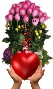 Create meme: beautiful flowers