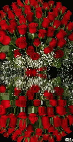 Создать мем: цветы красивые розы, красивые розы, букет красных роз