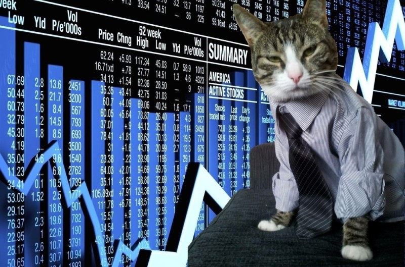 Create meme: business cat, a cat in a suit, seals on the stock exchange