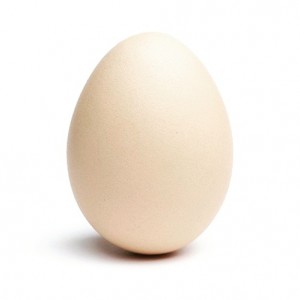 Create meme: chicken eggs on white background, egg on white background, egg bois