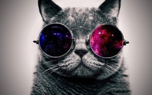 Create meme: cool cats, people visible