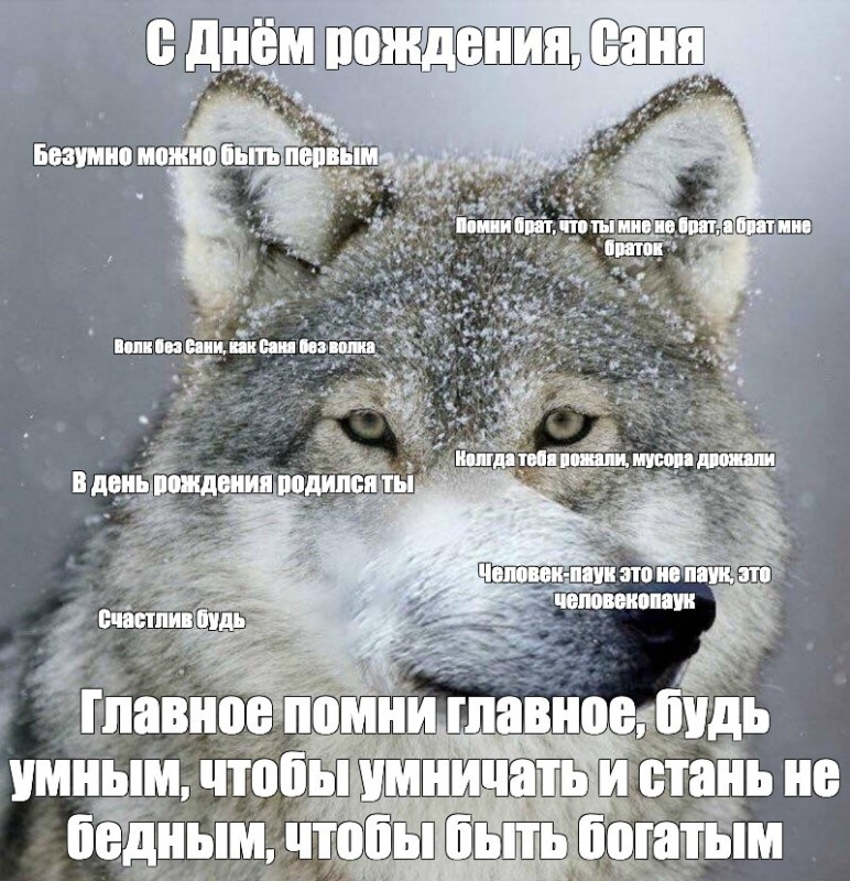 Создать мем: волк морда, ауф волк мем, мемы волк