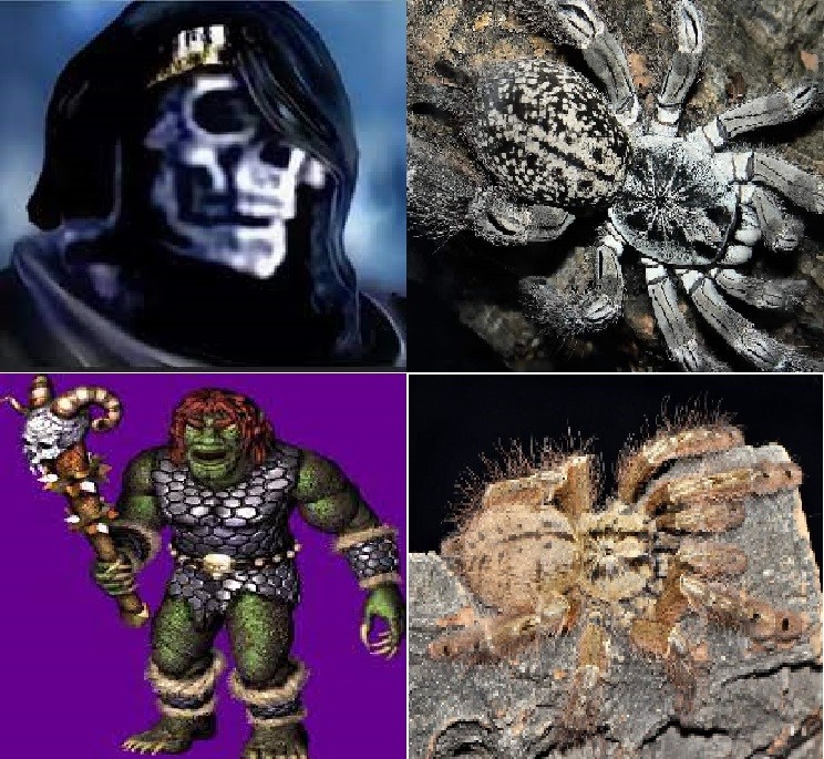 Создать мем: гигантские пауки, огромный паук, ядовитые пауки