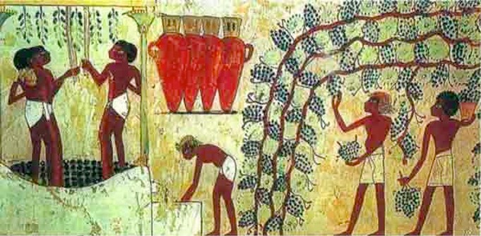 Создать мем: виноградство в древнем египте, древний египет фрески, земледелие древнего египта фрески