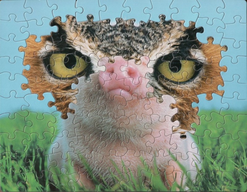 Create meme: jigsaw puzzle, funny puzzles, puzzle