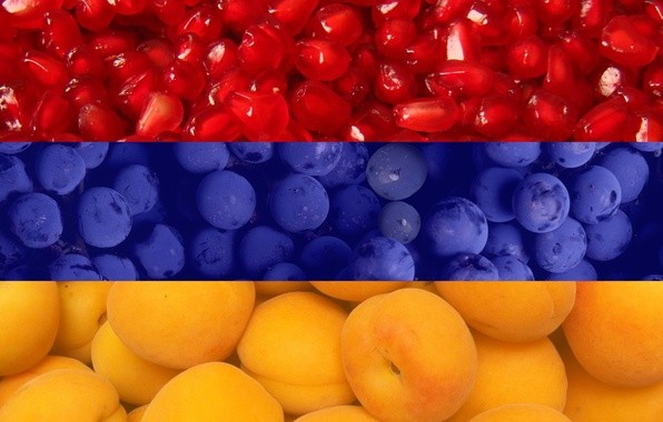 Create meme: banner fruits, garnet background, fruit 