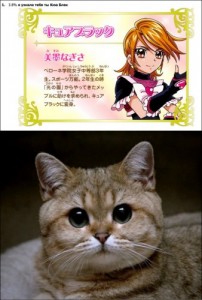 Create meme: nekomimi, a cat, pidrila fucking
