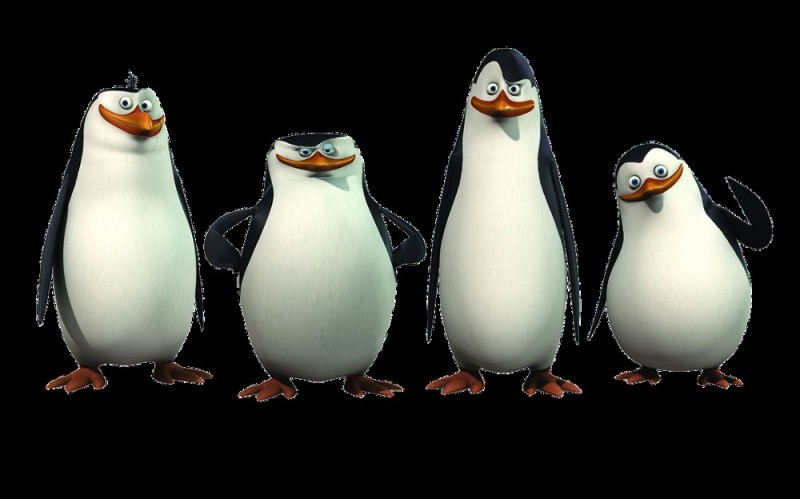 Create meme: the penguins of Madagascar skipper, penguin from Madagascar, the Madagascar penguins
