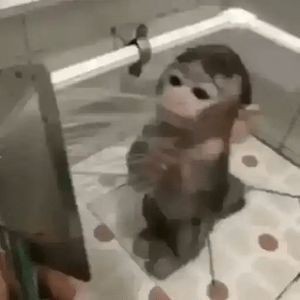 Создать мем: обезьяна купается в ванной, обезьяна обезьяна, домашние обезьянки