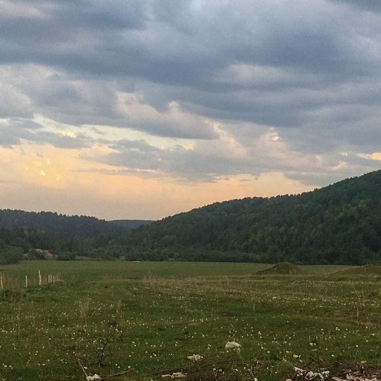 Создать мем: поляна, живописный пейзаж, пейзаж фотография