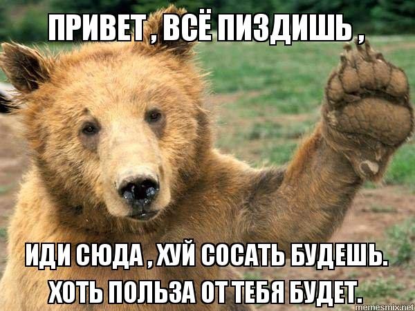Создать мем: веселый медведь, медведь, медведь машет лапой
